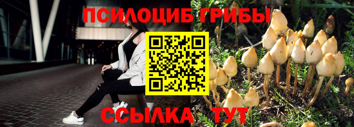 Галлюциногенные грибы мухоморы  Галлюциногенные грибы MAGIC MUSHROOMS  магазин продажи наркотиков  Вход с VPN  Казань 