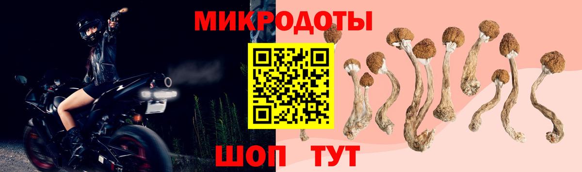 ГАШИШ Казань